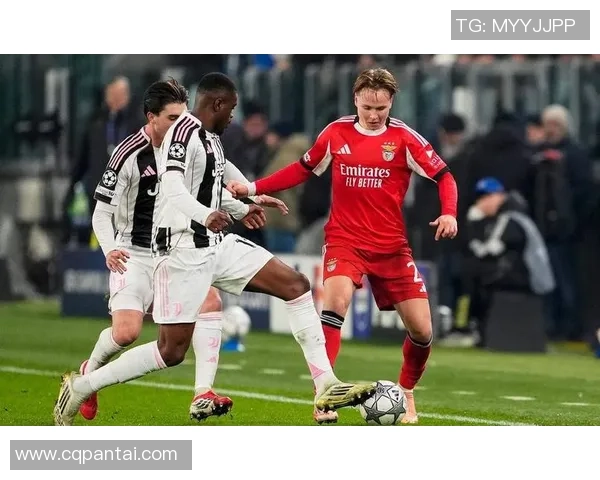 那不勒斯友谊赛大胜本菲卡四球狂潮引发全场热烈反响集锦回顾